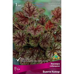 ������ ������ ������� ��������� ����� �����   ����