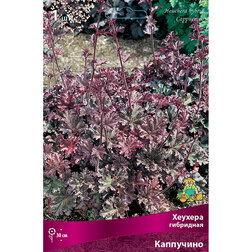 ������ ������ ������� ��������� ���������   ����