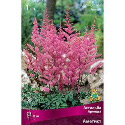 ������ ������ �������� ������� (�������)   ����