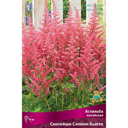 ������ ������ �������� ��������� �������� ������ �����   ����