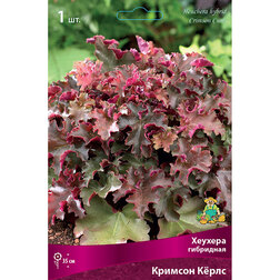 ������ ������ ������� ��������� ������� ʸ���   ����