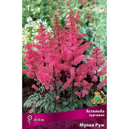 ������ ������ �������� �������� ����� ���   ����