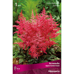 ������ ������ �������� ������������� ��������   ����