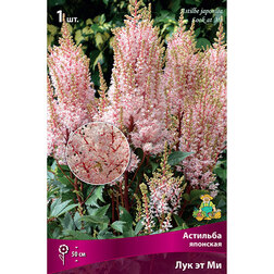 ������ ������ �������� �������� ��� �� ��   ����