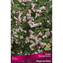 ������ ������ ����� ����������� ���� �� ����   ����