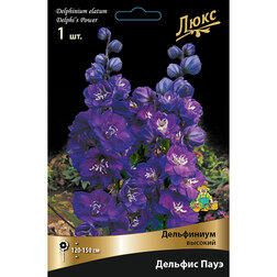 ������ ������ ���������� ������� ������� ���� *   ����