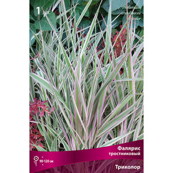 ������ ������ ������� ������������ ��������   ����