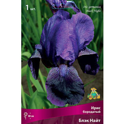 ������ ������ ���� ��������� ���� ����   ����