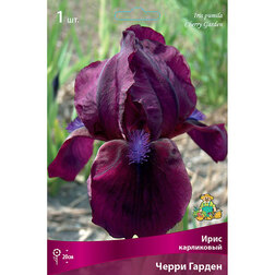 ������ ������ ���� ���������� ����� ������   ����