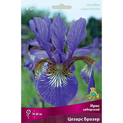 ������ ������ ���� ��������� ������ ������   ����