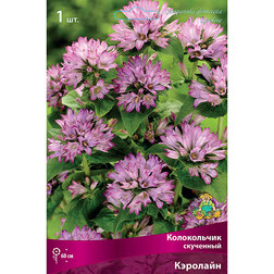 ������ ������ ����������� ��������� ��������   ����