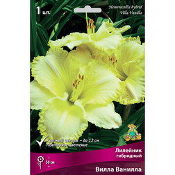 ������ ������ �������� ��������� ����� �������   ����