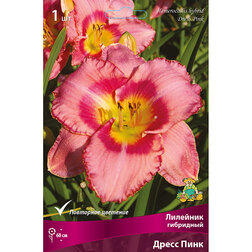 ������ ������ �������� ��������� ����� ����   ����