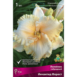 ������ ������ �������� ��������� �������� ������   ����