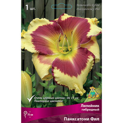 ������ ������ �������� ��������� ���������� ���   ����