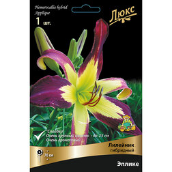 ������ ������ �������� ��������� ������ *   ����