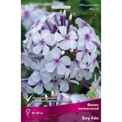 ������ ������ ����� ����������� ��� ���   ����