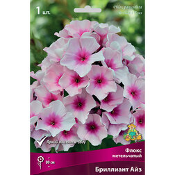 ������ ������ ����� ����������� ��������� ���   ����