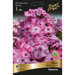 ������ ������ ����� ����������� �������� *   ����