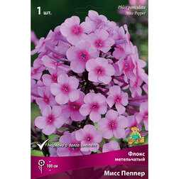 ������ ������ ����� ����������� ���� �����   ����