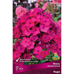 ������ ������ ����� ����������� ����   ����