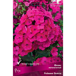 ������ ������ ����� ����������� ������� �����   ����