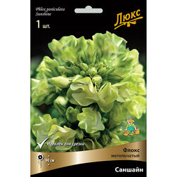 ������ ������ ����� ����������� ������� *   ����