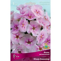 ������ ������ ����� ����������� ���� �������   ����