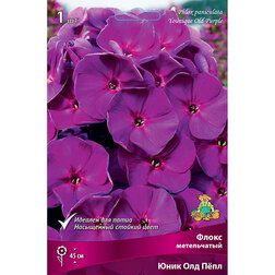 ������ ������ ����� ����������� ���� ��� ϸ��   ����