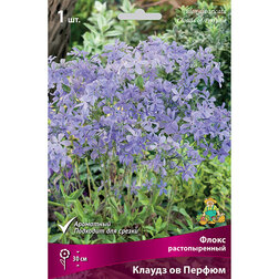 ������ ������ ����� ������������� ������ �� ������   ����