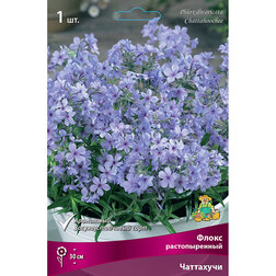 ������ ������ ����� ������������� ���������   ����