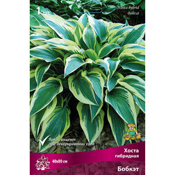 ������ ������ ����� ��������� ������   ����