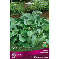 ������ ������ ����� ��������� ������� ���   ����