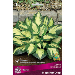 ������ ������ ����� ��������� ������� ����   ����