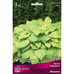 ������ ������ ����� ��������� ������   ����