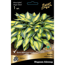 ������ ������ ����� ��������� ������ ������ *   ����