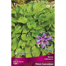 ������ ������ ����� ��������� ϸ�� ��������   ����