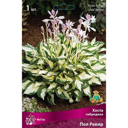 ������ ������ ����� ��������� ��� �����   ����