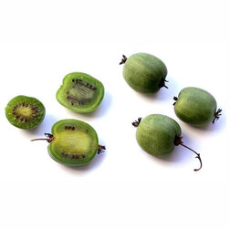 ������ ������ ��������� ��������� ��������� (�������)   ����