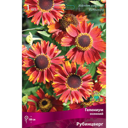 ������ ������ �������� ������� ����������   ����