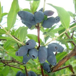 ������ ������ ��������� ��������� ������   ����