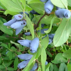 ������ ������ ��������� ��������� ��������   ����