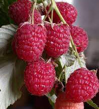 ������ ������ ������ ������� ��������   ����