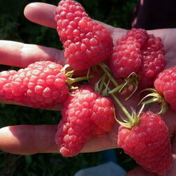 ������ ������ ������ ������������ ���� �������   ����