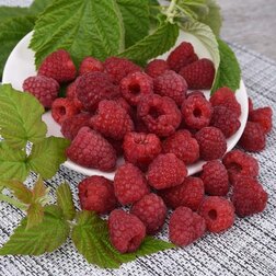 ������ ������ ������� ������ ������������ ��������� ��������   ����