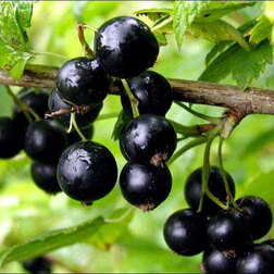 ������ ������ ��������� ������ ������ ����   ����