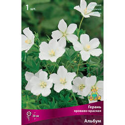 ������ ������ ������ �������-������� ������   ����