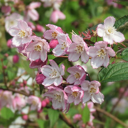 ������ ������ ������ ��������� ����������   ����