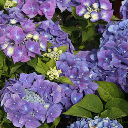 ������ ������ ��������� �������������� ���������   ����