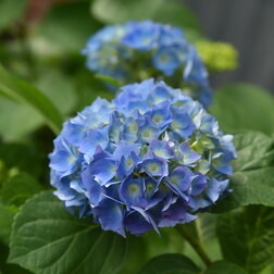 ������ ������ ��������� �������������� ������   ����